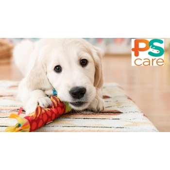 PS CARE ELIMINADOR ODORES 1L