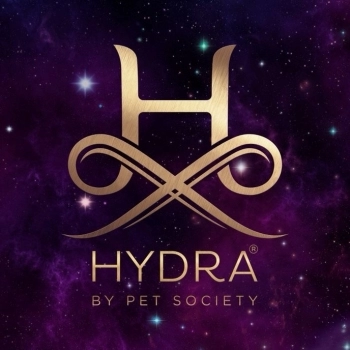 HYDRA PCT. ESCOVAS DESCARTAVEIS 50 UN