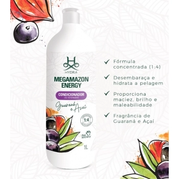 MEGAMAZON COND ENERGY 1L 1:4