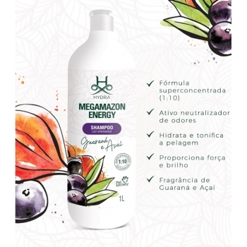 MEGAMAZON SH ENERGY 1L 1:10