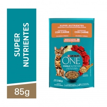 ONE CAT SUPER NUTRIENTES 15X85GXI